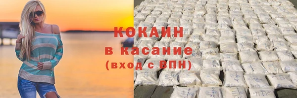 крисы Богородицк