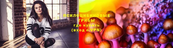 крисы Богородицк