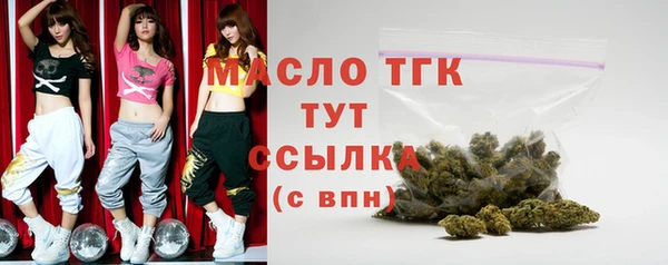 крисы Богородицк