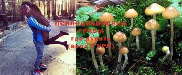 крисы Богородицк