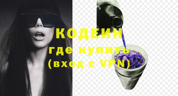 крисы Богородицк