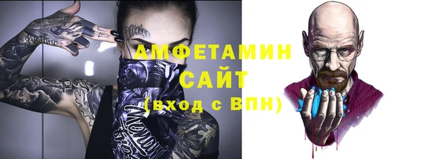 крисы Богородицк