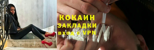 крисы Богородицк