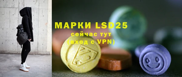 крисы Богородицк