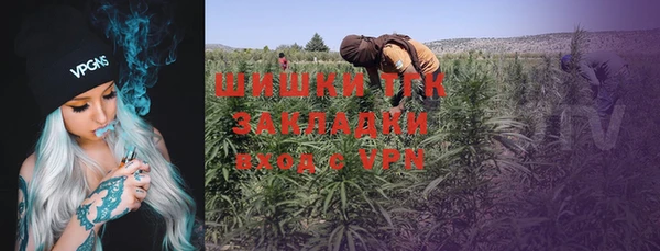 крисы Богородицк