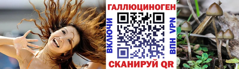 Галлюциногенные грибы Magic Shrooms  цена наркотик  Вологда 